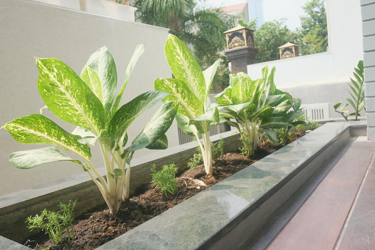 Greenwood Villa Saigon Ho Chi Minh City Bagian luar foto
