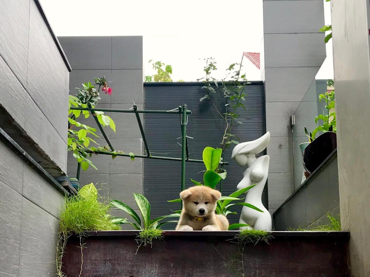 Greenwood Villa Saigon Ho Chi Minh City Bagian luar foto